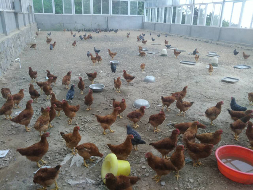 常务副会长王旭峰一行考察会员单位