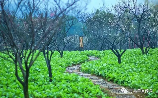 单县招商引资暨返乡创业大会活动邀请通知