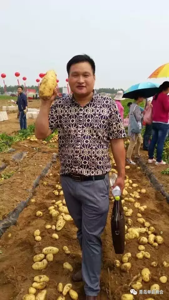 单县县委常委、常委副县长张晖一行来青岛单县商会进行调研