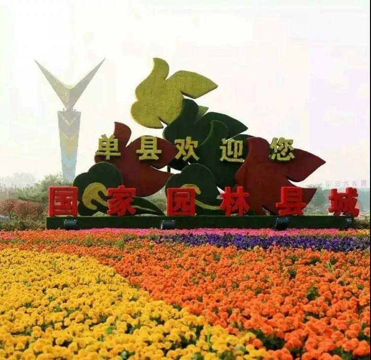 全国各地的单县人注意啦！4月29日，单县县委、县政府喊你回家共商大事！ 