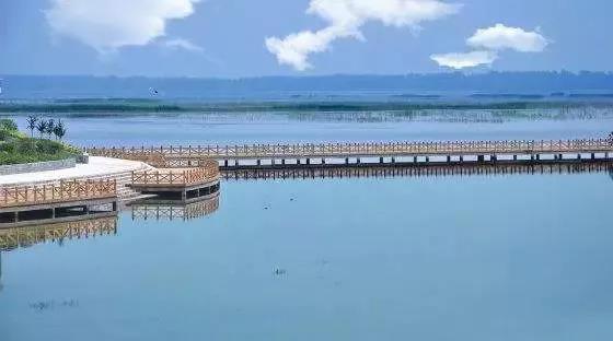 全国各地的单县人注意啦!4月29日,单县县委、县政府喊你回家共商大事!