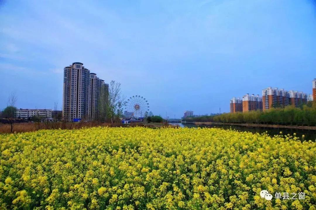 全国各地的单县人注意啦!4月29日,单县县委、县政府喊你回家共商大事!