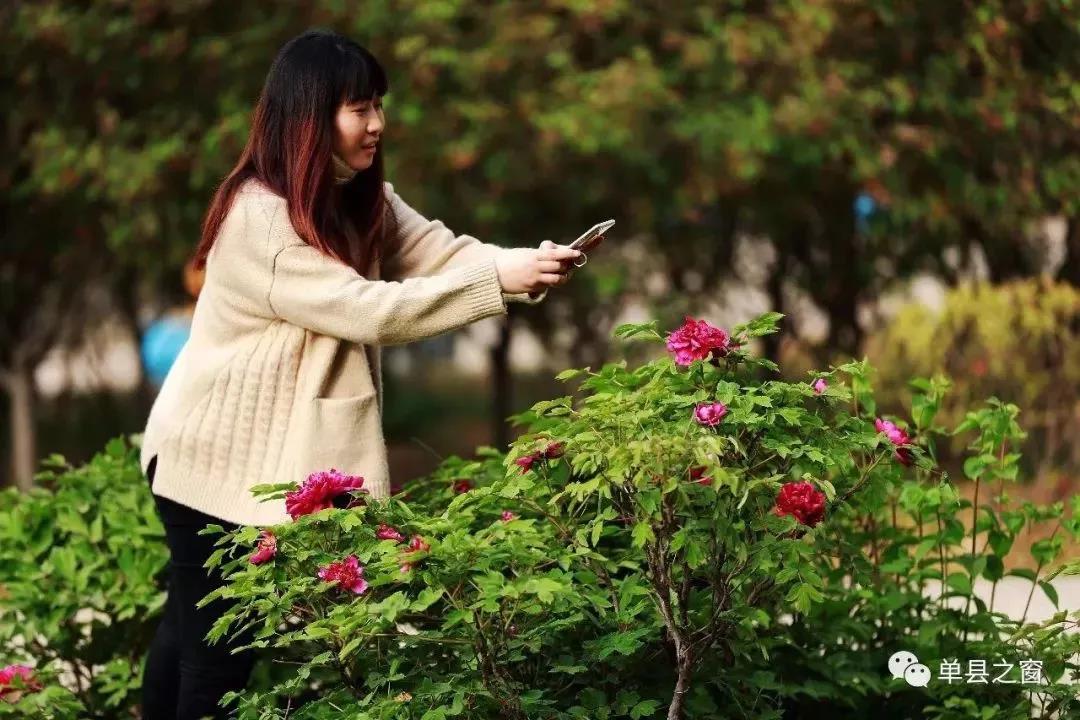 全国各地的单县人注意啦!4月29日,单县县委、县政府喊你回家共商大事!