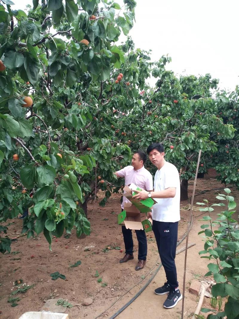 青岛单县商会举行比学赶超实践大会暨 党员集中学习活动