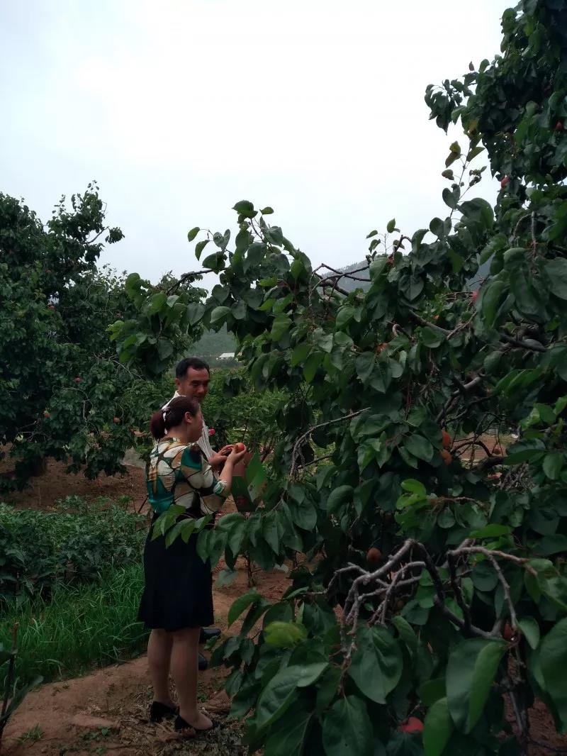 青岛单县商会举行比学赶超实践大会暨 党员集中学习活动