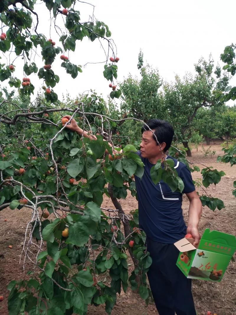 青岛单县商会举行比学赶超实践大会暨 党员集中学习活动