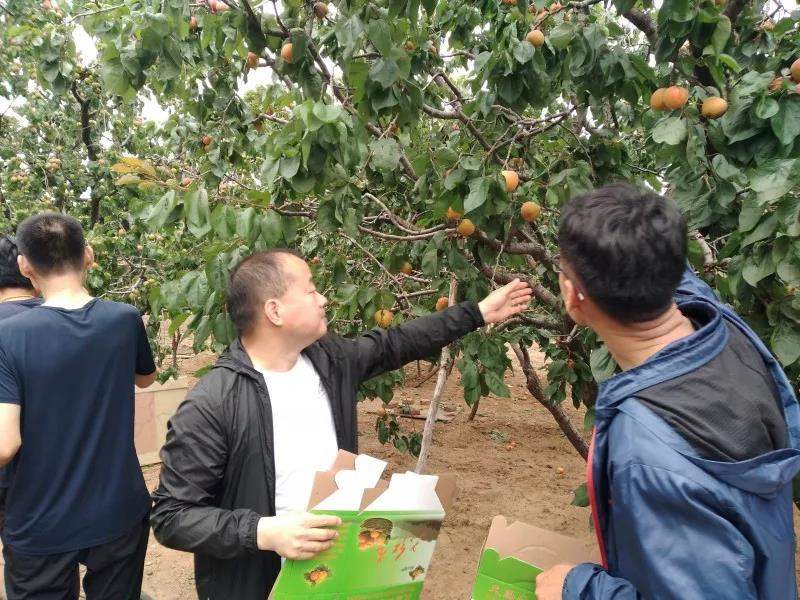 青岛单县商会举行比学赶超实践大会暨 党员集中学习活动