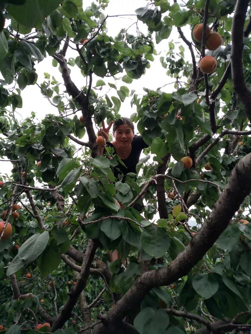 青岛单县商会举行比学赶超实践大会暨 党员集中学习活动