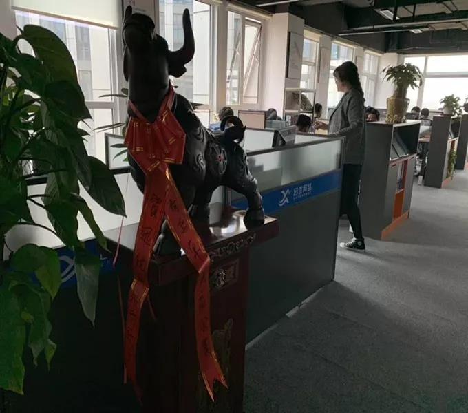 青岛单县商会企业走访之迅优网络 