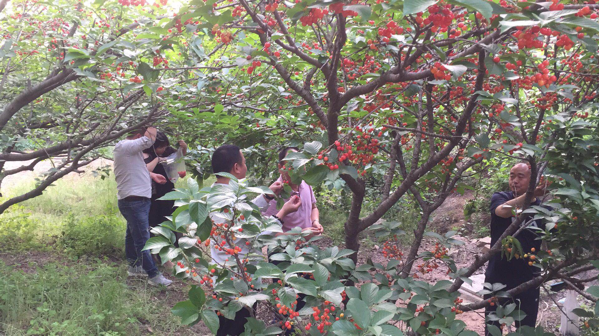 分享经验 共谋发展