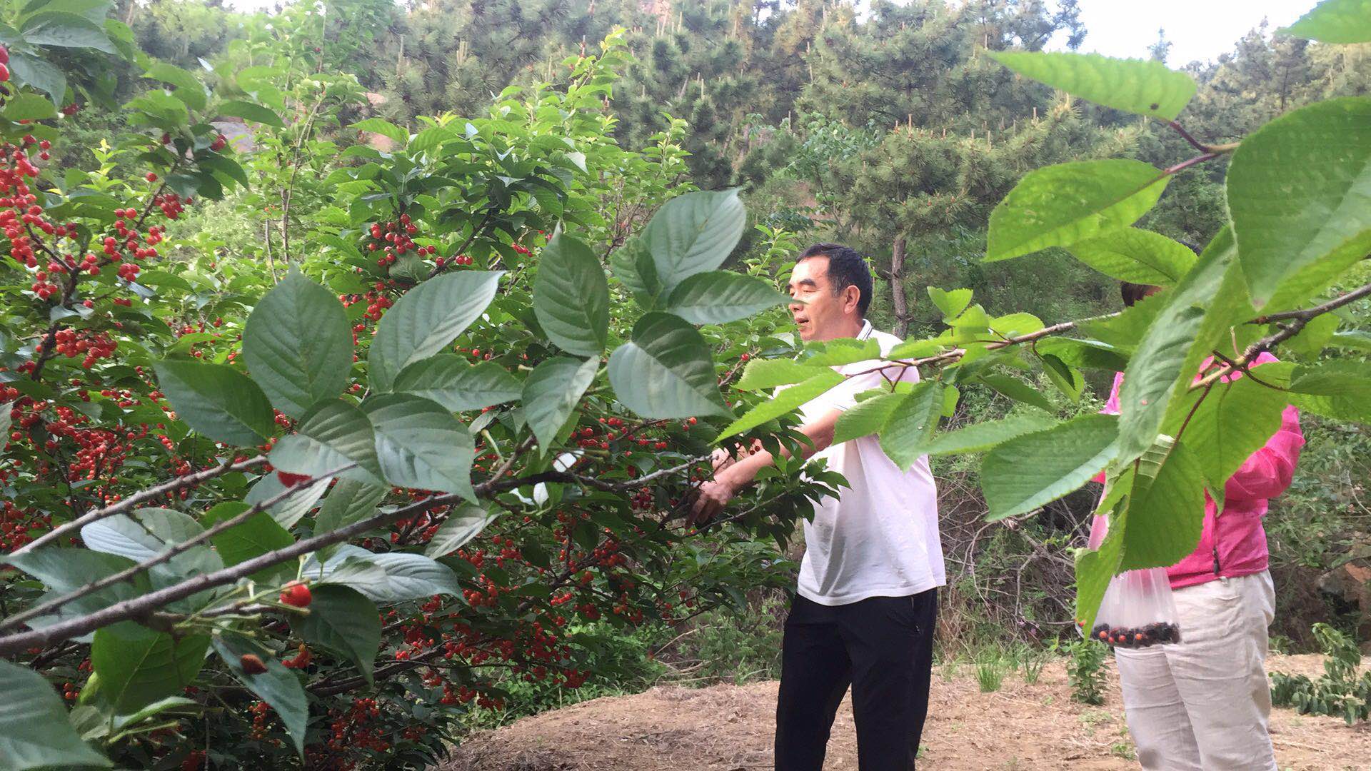 分享经验 共谋发展