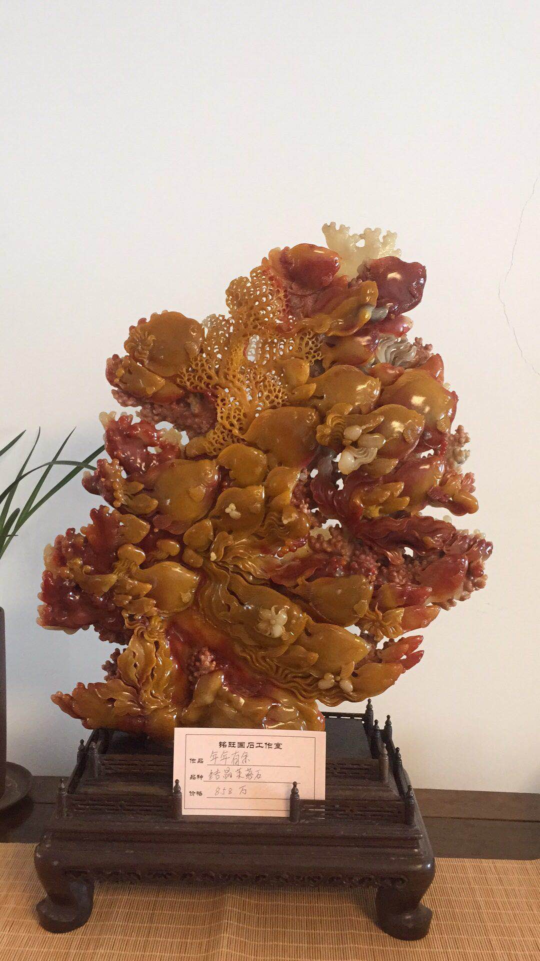 分享经验 共谋发展