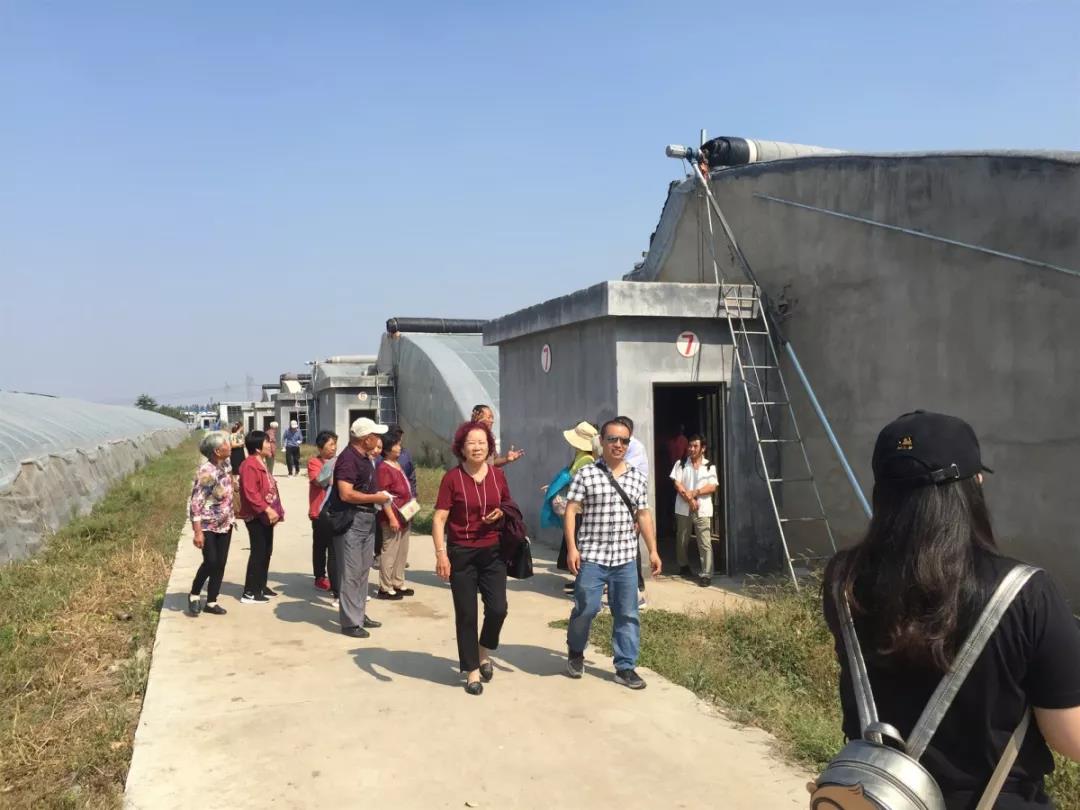 国庆重阳双庆 敬老爱老同行 