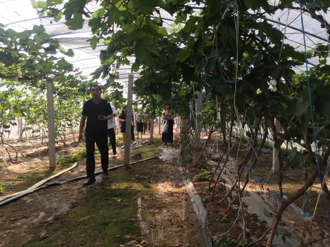 国庆重阳双庆 敬老爱老同行